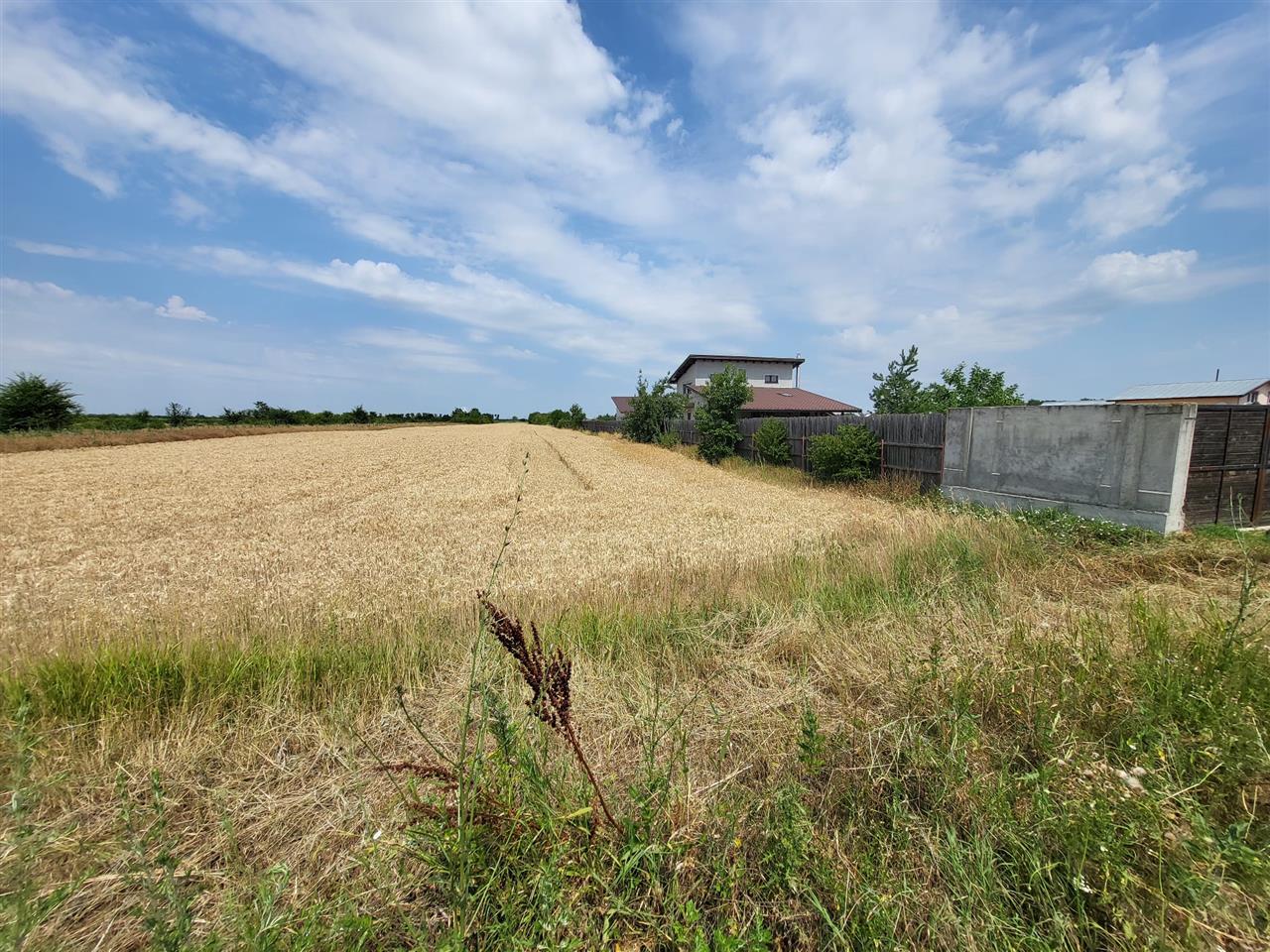 Vanzare teren Mihai Voda Bolintin Deal